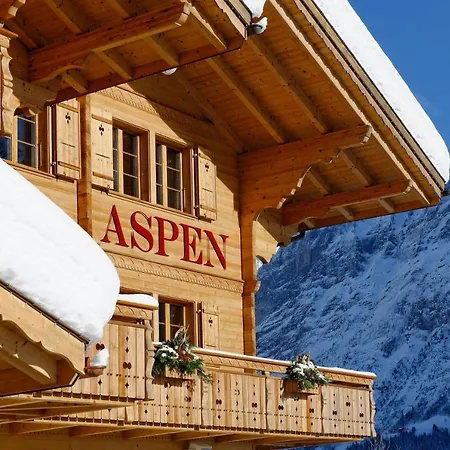 Aspen Alpine Lifestyle 4* Grindelwald