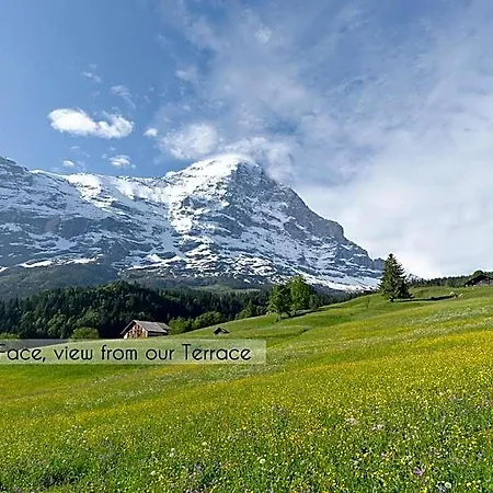 Aspen Alpine Lifestyle Hotel Grindelwald