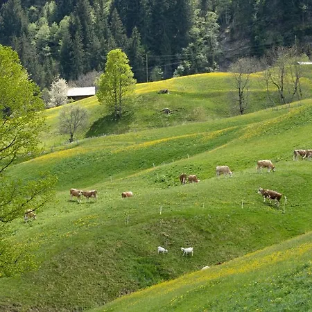 Aspen Alpine Lifestyle Ξενοδοχείο Γκρίντελβαλντ