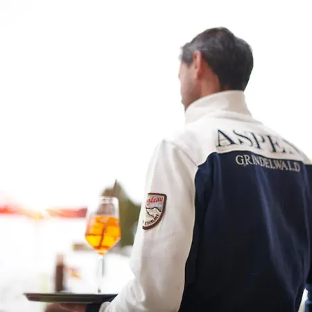 Aspen Alpine Lifestyle Ξενοδοχείο 4*