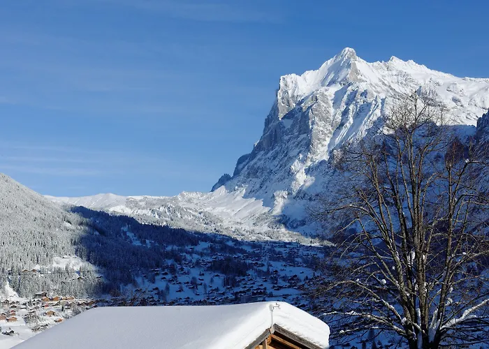 Aspen Alpine Lifestyle Hotell Grindelwald
