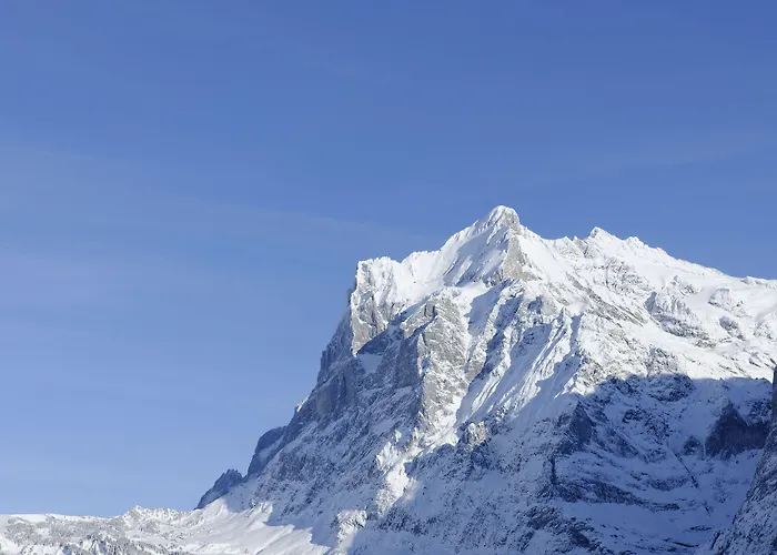 Aspen Alpine Lifestyle Hotell 4*