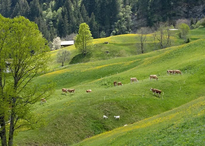 Aspen Alpine Lifestyle Hotell Grindelwald
