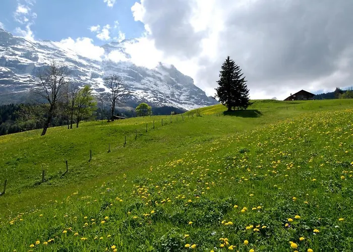 Hotell Aspen Alpine Lifestyle 4*