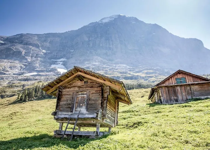 Aspen Alpine Lifestyle Hotell Grindelwald