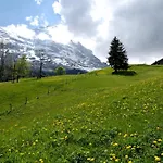 Hotel Aspen Alpine Lifestyle 4*