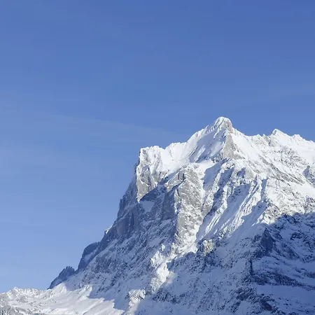 Aspen Alpine Lifestyle Otel 4*