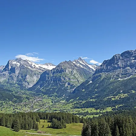 Hotell Aspen Alpine Lifestyle Grindelwald