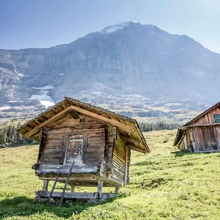 Aspen Alpine Lifestyle Hotell Grindelwald