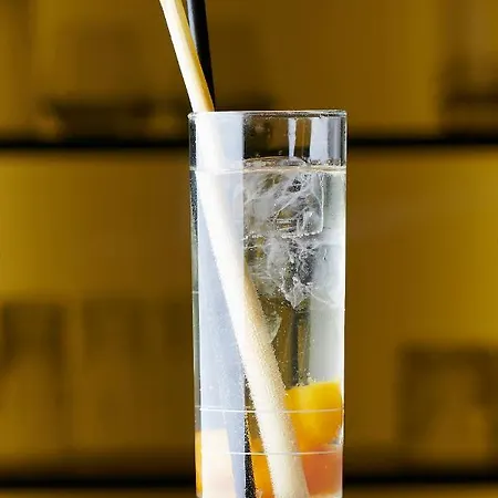 Aspen Alpine Lifestyle Otel 4*